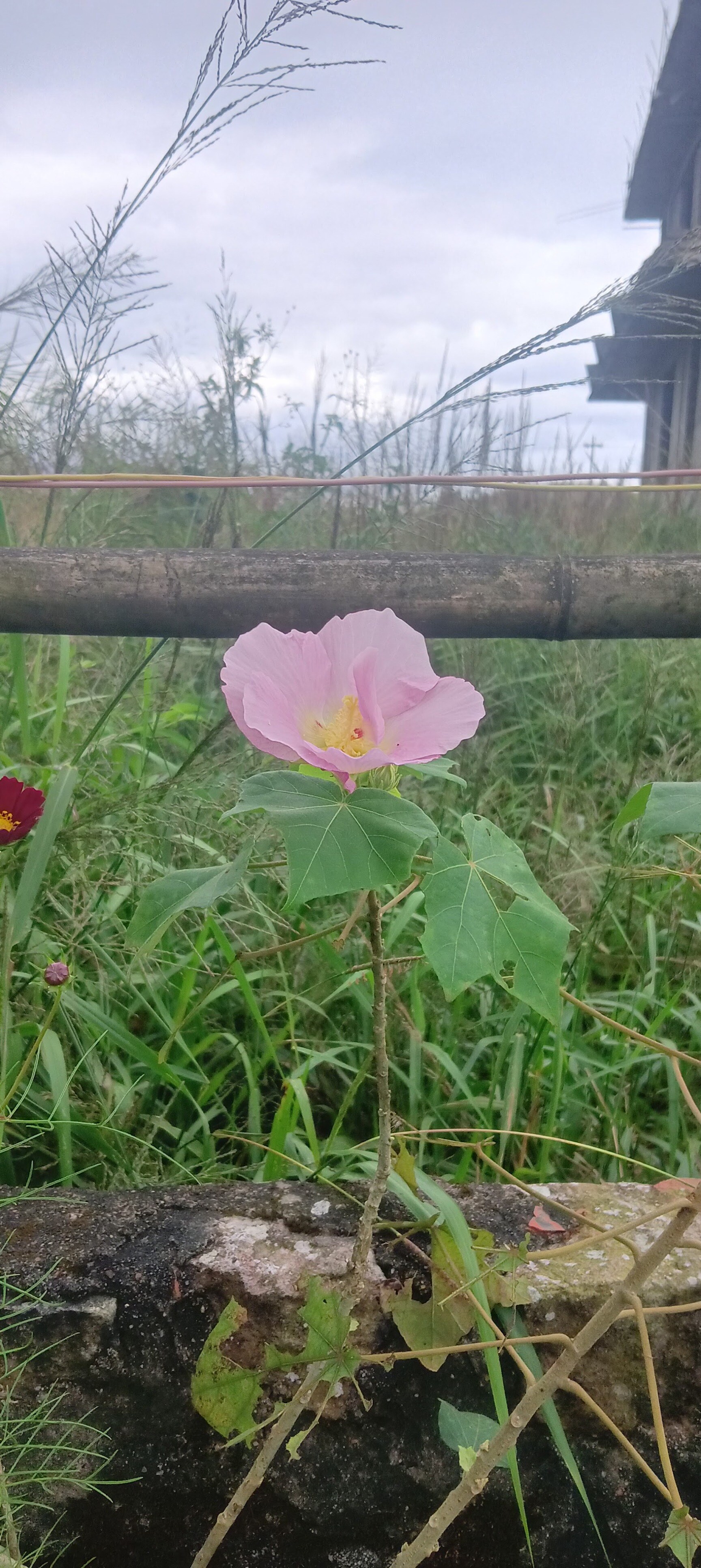 Taruna Travels Gallery