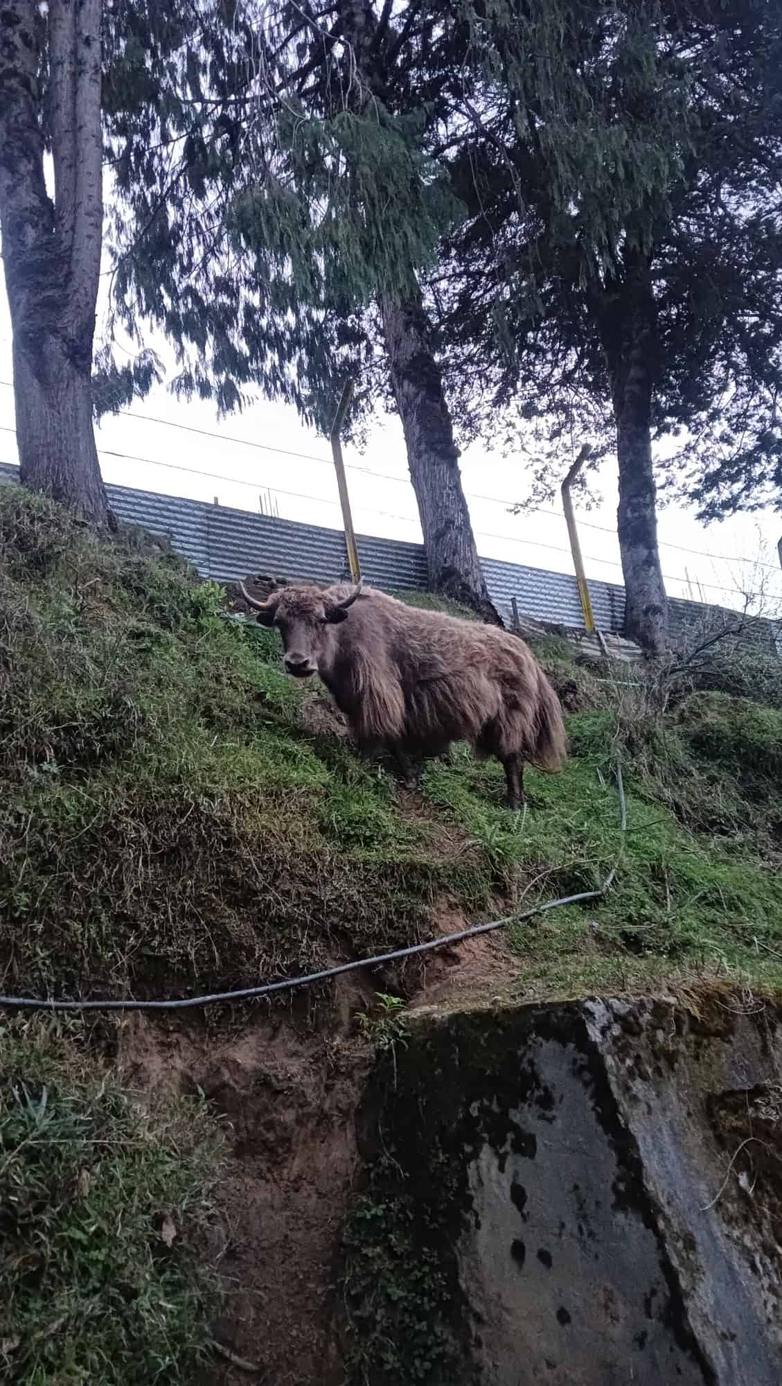 Taruna Travels Gallery